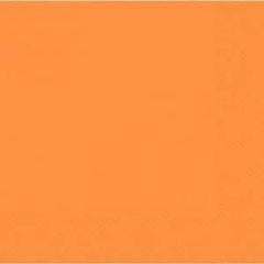 Solid Color 2 Ply Paper Napkins - 25 /pack